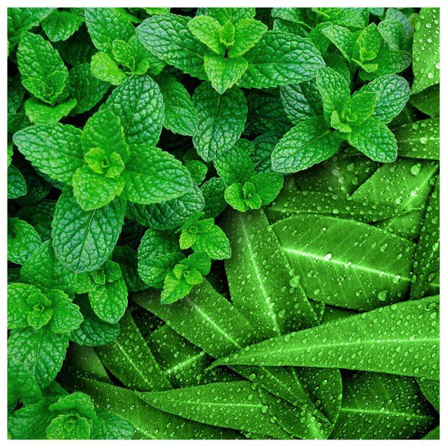 Flash Plastic Free Antibacterial Wipes 30ct   30 per pack