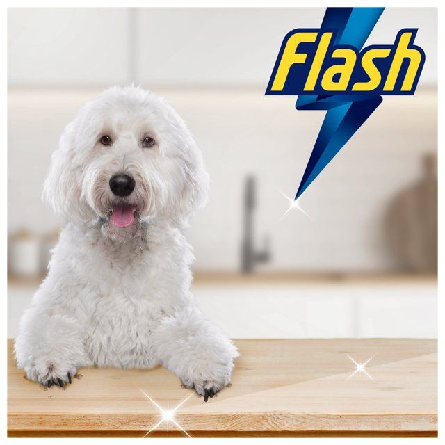 Flash Spray Wipe Done Pet Cleaning Spray   800ml