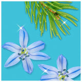 Flash Spray Wipe Done Shower Cleaning Spray   800ml