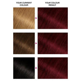 Garnier Olia 4.62 Dark Garnet Red Permanent Hair Dye