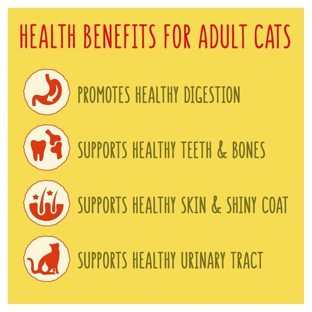 Go-Cat Chicken and Turkey Dry Cat Food   320g