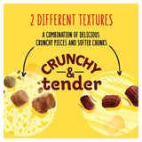 Go-Cat Crunchy &amp;amp; Tender Salmon and Tuna Dry Cat Food    900g