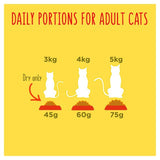 Go-Cat Crunchy &amp;amp; Tender Salmon and Tuna Dry Cat Food    900g