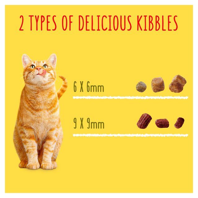 Go-Cat Crunchy &amp;amp; Tender Salmon and Tuna Dry Cat Food    900g