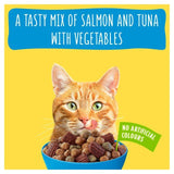Go-Cat Crunchy &amp;amp; Tender Salmon and Tuna Dry Cat Food    900g