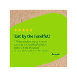 Good4U Salad Super Seeds   150g