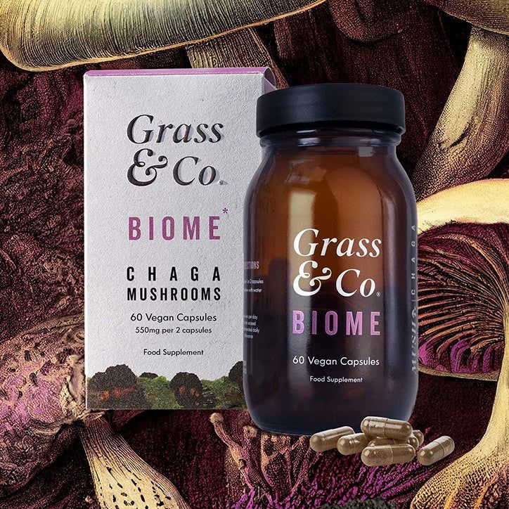 Grass &amp;amp; Co. BIOME Chaga Mushrooms with Curcumin + Ginger 60 Vegan Capsules