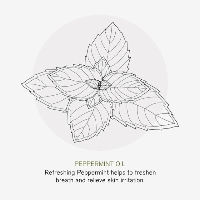 Green People Fresh Mint &amp;amp; Aloe Vera Fluoride Toothpaste   75ml