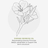 Green People Organic  24 Hour Moisturiser Vitamin Fix    50ml