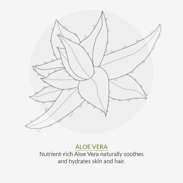 Green People Scent Free 24-Hour Cream   50ml