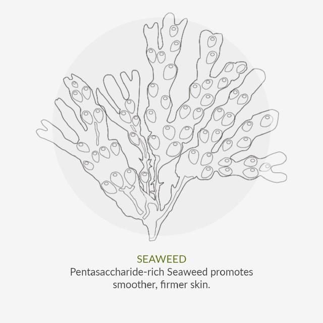 Green People Scent Free Day Moisturiser   50ml