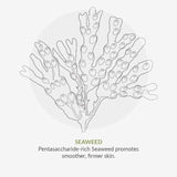 Green People Scent Free Day Moisturiser   50ml