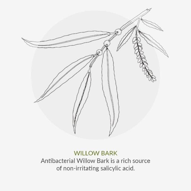 Green People Scent Free Day Moisturiser   50ml