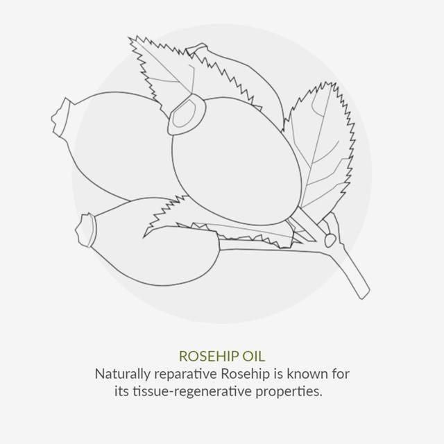 Green People Soft Buff Skin Exfoliator Age Defy+ by Cha Vohtz Vegan   30ml