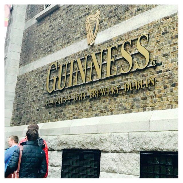 Guinness Original Stout Beer   500ml