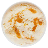 Haagen-Dazs Salted Caramel Ice Cream   460ml