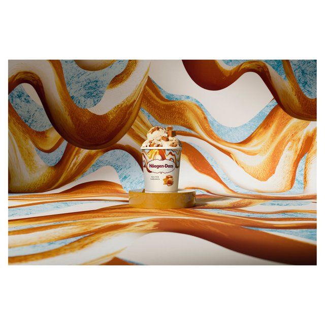 Haagen-Dazs Salted Caramel Ice Cream   460ml