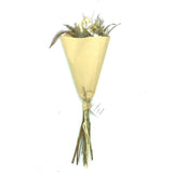 Habitat Dried Daisy Bouquet