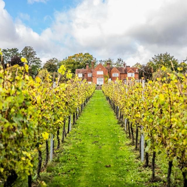 Hambledon Classic Cuvee Brut NV   75cl