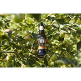 Henry Westons Organic Cider   500ml