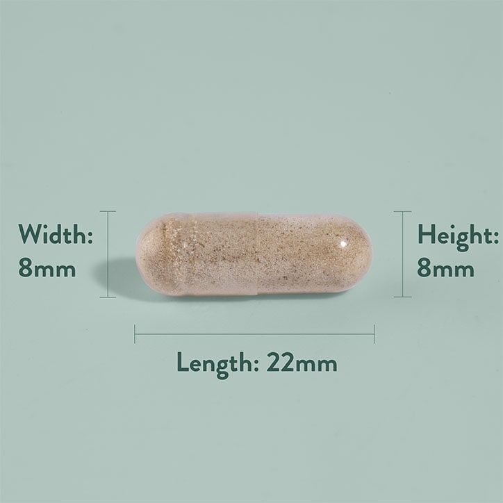 Holland &amp;amp; Barrett Fenegriek 610mg