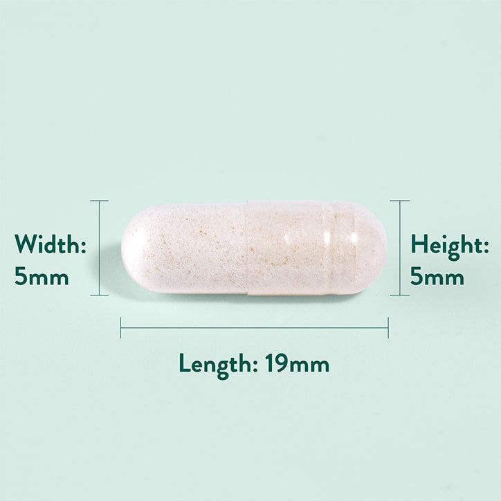 Holland &amp;amp; Barrett Ginger Root 240 Capsules