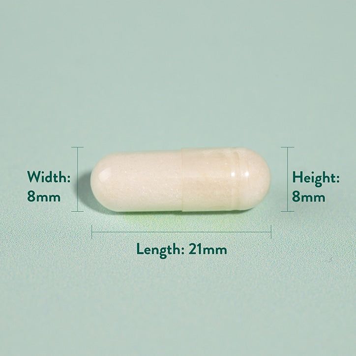 Holland &amp;amp; Barrett Glucosamine Sulphate 500mg 240 Capsules