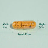 Holland &amp;amp; Barrett High Strength Turmeric 600mg plus Boswellia &amp;amp; Ginger 90 Capsules