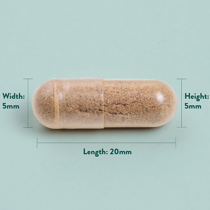 Holland &amp;amp; Barrett Maximum Strength Ginkgo Biloba 120mg 100 Capsules