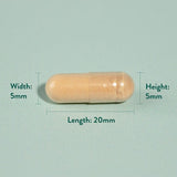 Holland &amp;amp; Barrett Milk Thistle 100mg 60 Capsules