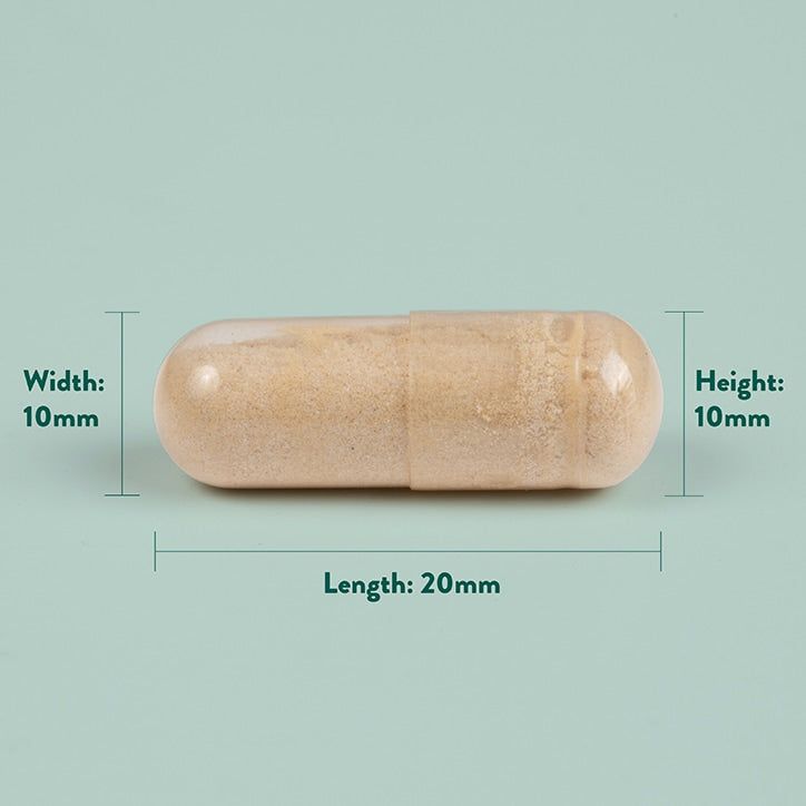 Holland &amp;amp; Barrett Raspberry Ketone Complex 90 Capsules