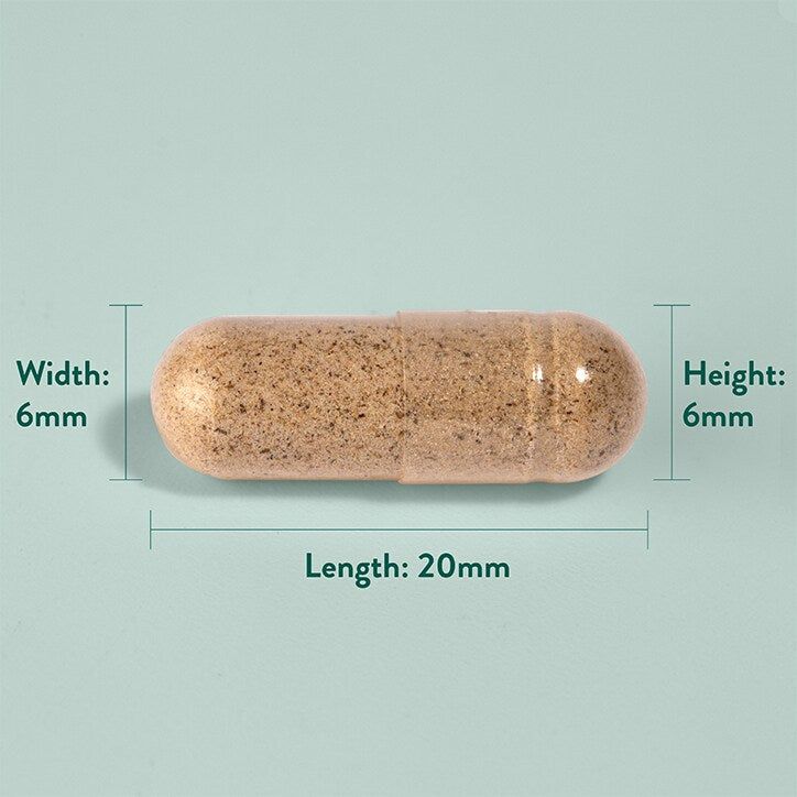 Holland &amp;amp; Barrett Sage Leaf 100 Capsules