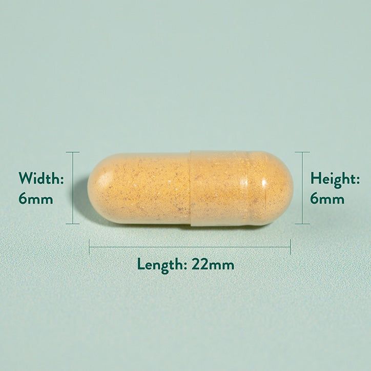 Holland &amp;amp; Barrett Turmeric 500mg 240 Capsules