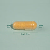 Holland &amp;amp; Barrett Turmeric 500mg 90 Capsules