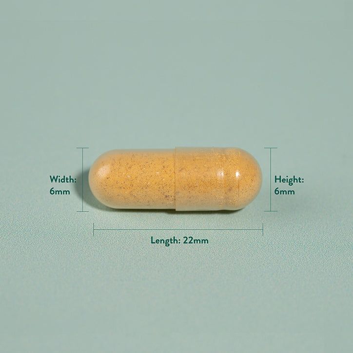 Holland &amp;amp; Barrett Turmeric 500mg 90 Capsules