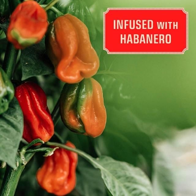 Horse with No Name Habanero Infused Bourbon Whisky   50cl