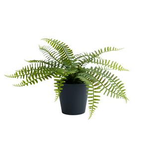 Habitat Artificial Fern In Black Pot Medium