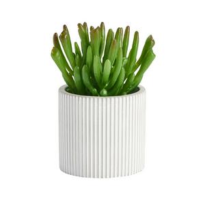 Sainsbury's Home Artificial Succulent in Cement Pot 8.9cm (British brand)