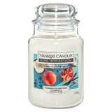 Yankee Candle Pomegranate Coconut Scented Candle Large Jar (British brand)