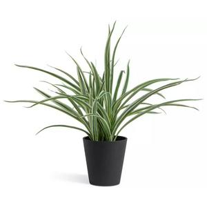 Sainsbury's Home Faux Spider Plant Green 38.1cm (British brand)