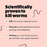 Itch Wormer Tablets For Cats (1kg +)   2 per pack