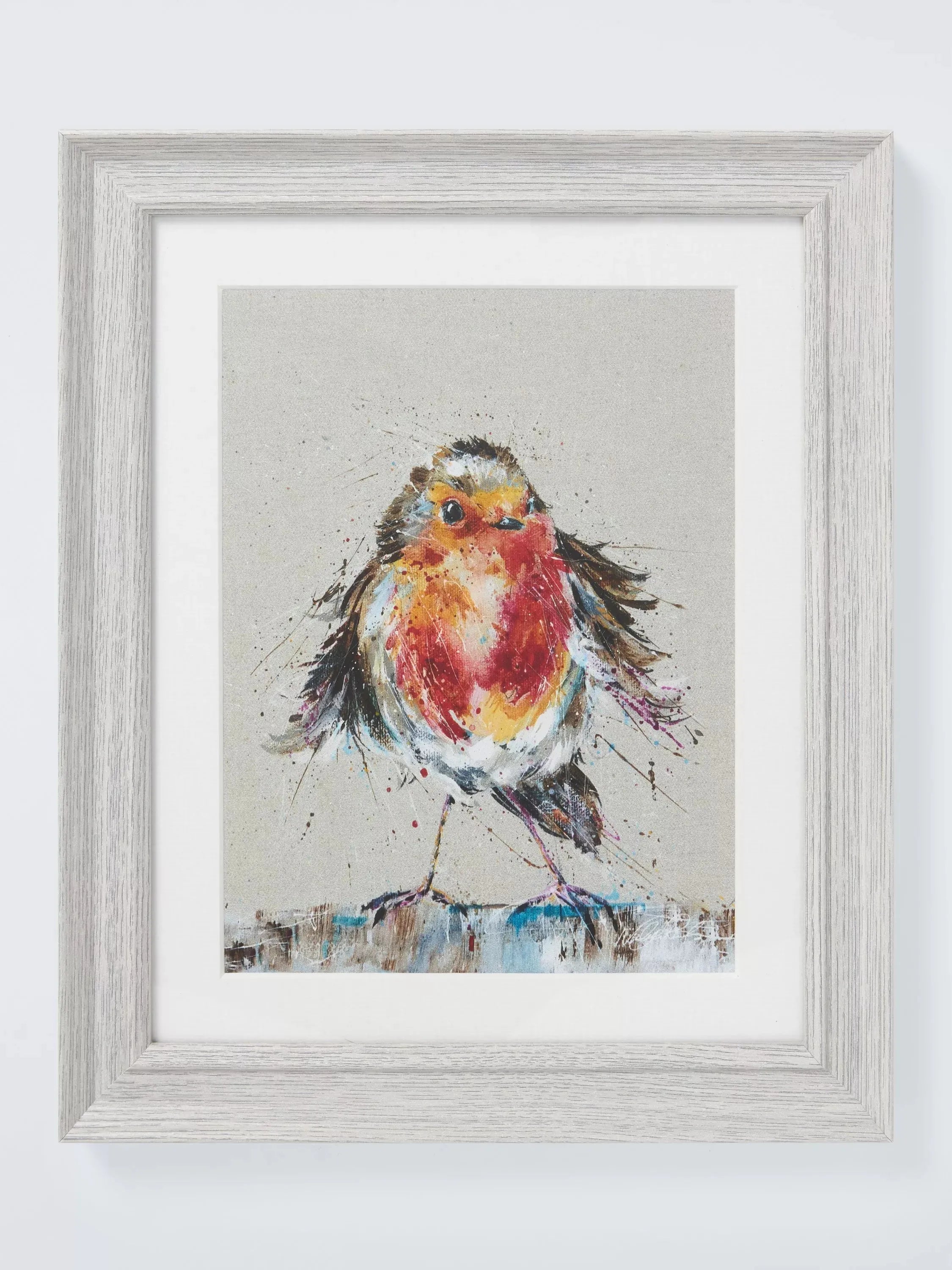 John Lewis Nicola Jane Rowles 'Robin' Framed Print &amp;amp; Mount, 35 x 29cm, Grey