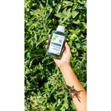 Klorane Purifying Shampoo with Organic Nettle for Oily Hair   200ml