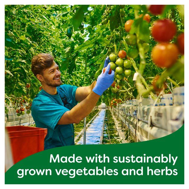 Knorr 20 Chicken Stock Cubes   20 x 10g