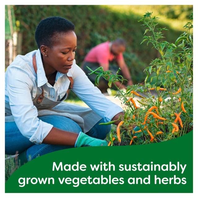 Knorr 20 Vegetable Stock Cubes   20 x 10g