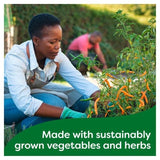 Knorr 20 Vegetable Stock Cubes   20 x 10g