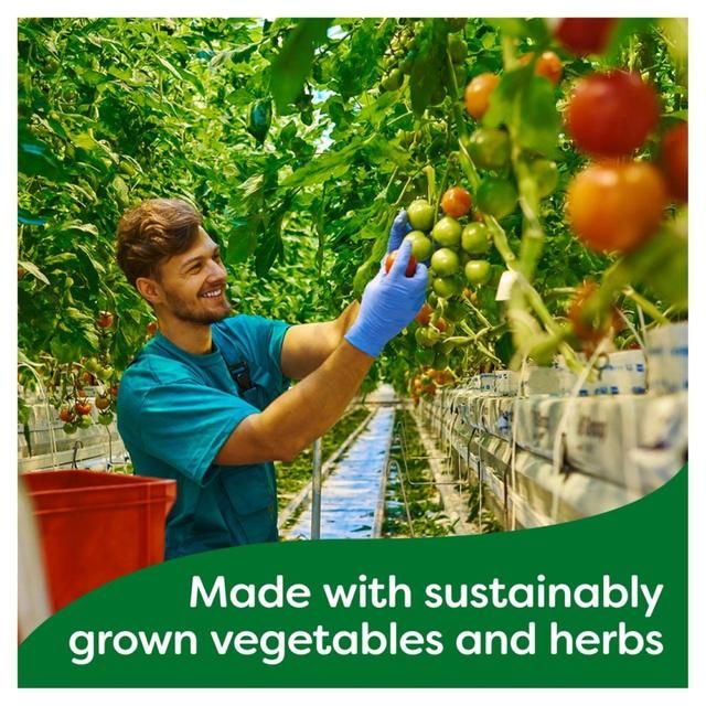 Knorr 4 Chicken Stock Pot   4 x 28g