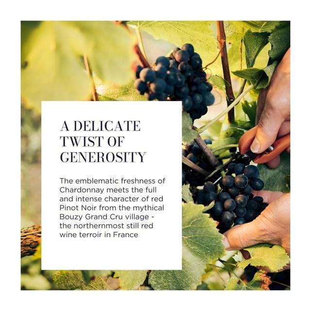 Lallier Champagne Grand Rose   75cl