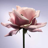 Lancome La Vie Est Belle Gold Extrait EDP 30ml