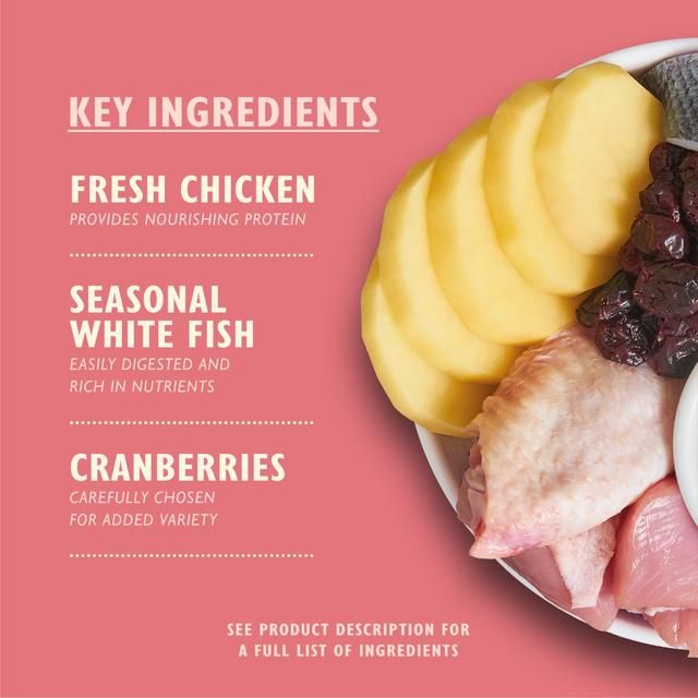 Lily's Kitchen Cat Chicken &amp;amp; White Fish Dry Kitten Food   800g